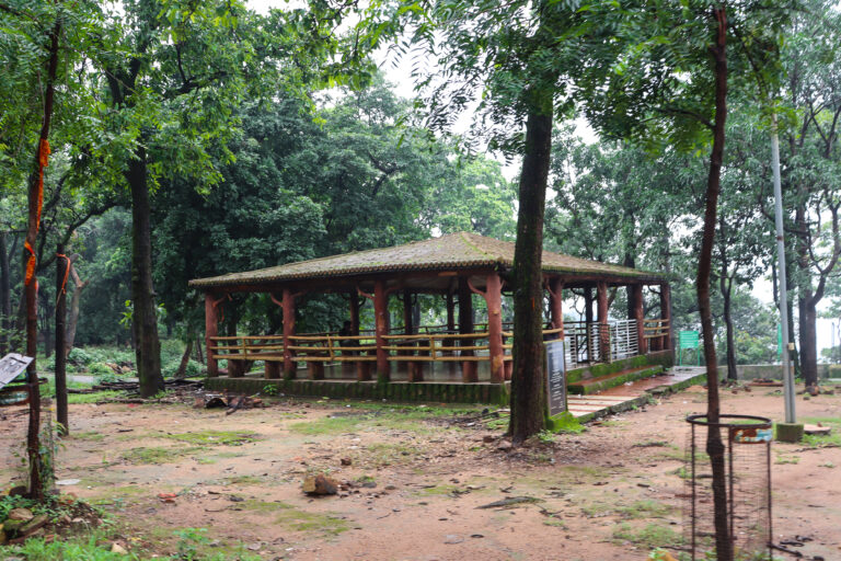 चैतुरगढ़